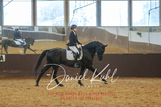 IMG_7220 | Turniersportfotografie; Pferdefotografie; Dressurfotografie