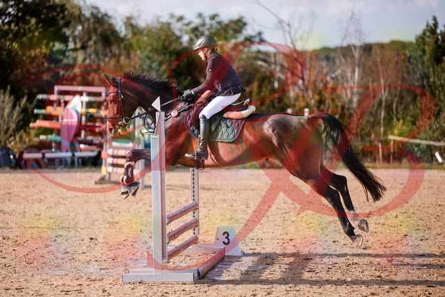 2026_10_03_Siefer-Hof_155937_Z81_79792045 | Professionelle Reitsport-, Turnier- und Eventfotografie von Robert Broda. Galerien mit ausgewählten und bearbeiteten Bildern direkt online ansehen und bestellen.