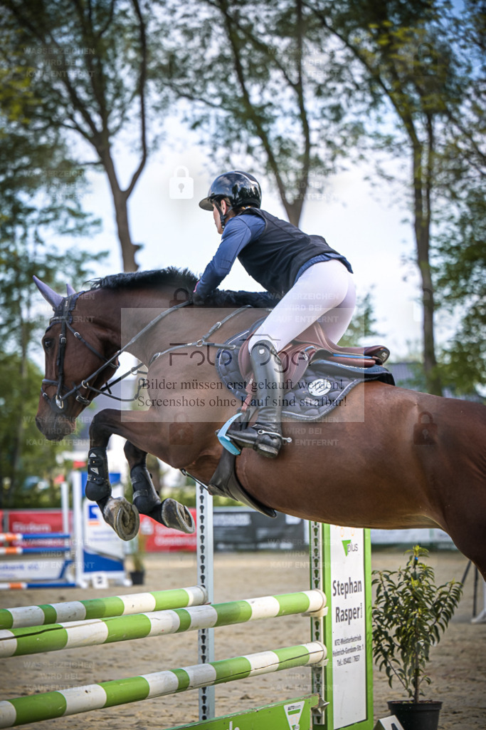 DOS_3668 | , 543, Roman Griffaton,Roberta PS543, Roman Griffaton,Roberta PS543, Roman Griffaton,Roberta å - Realisiert mit Pictrs.com