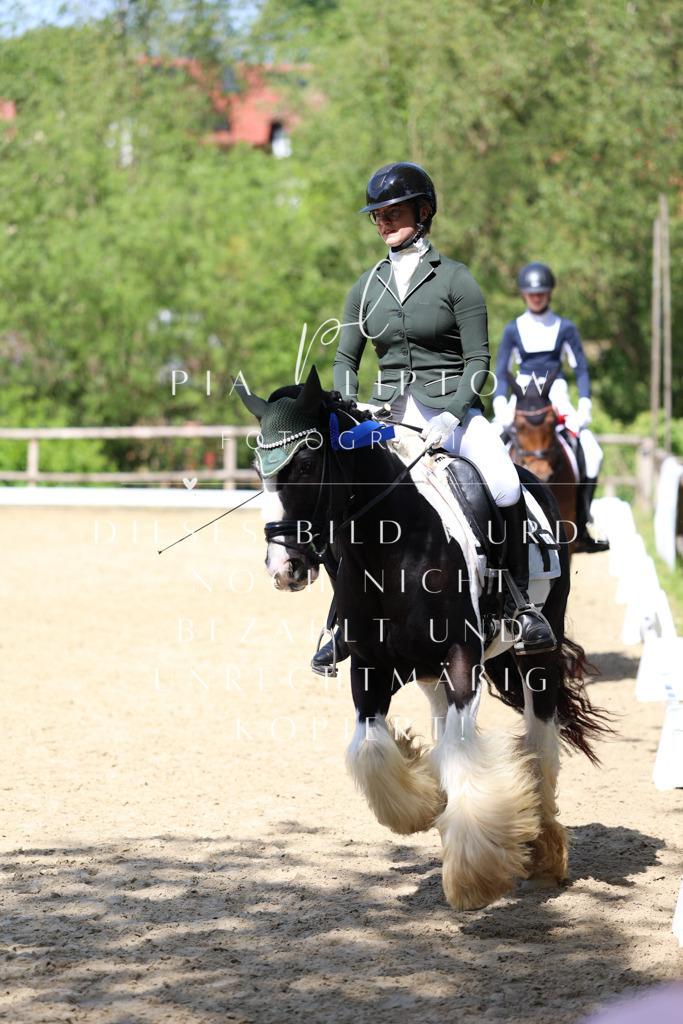 IMGS4313 | pl-fotografie