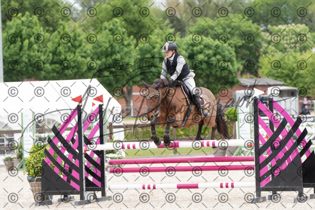 KPT_8342 | andre_photographic