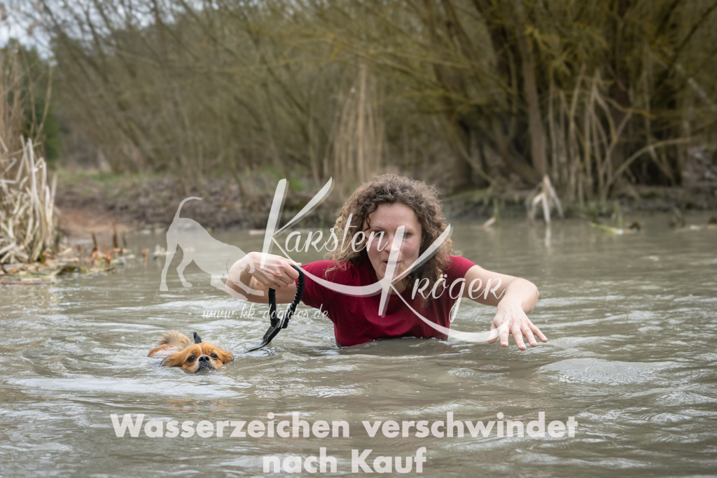 1502_ZZ91749 | kk-dogfotos