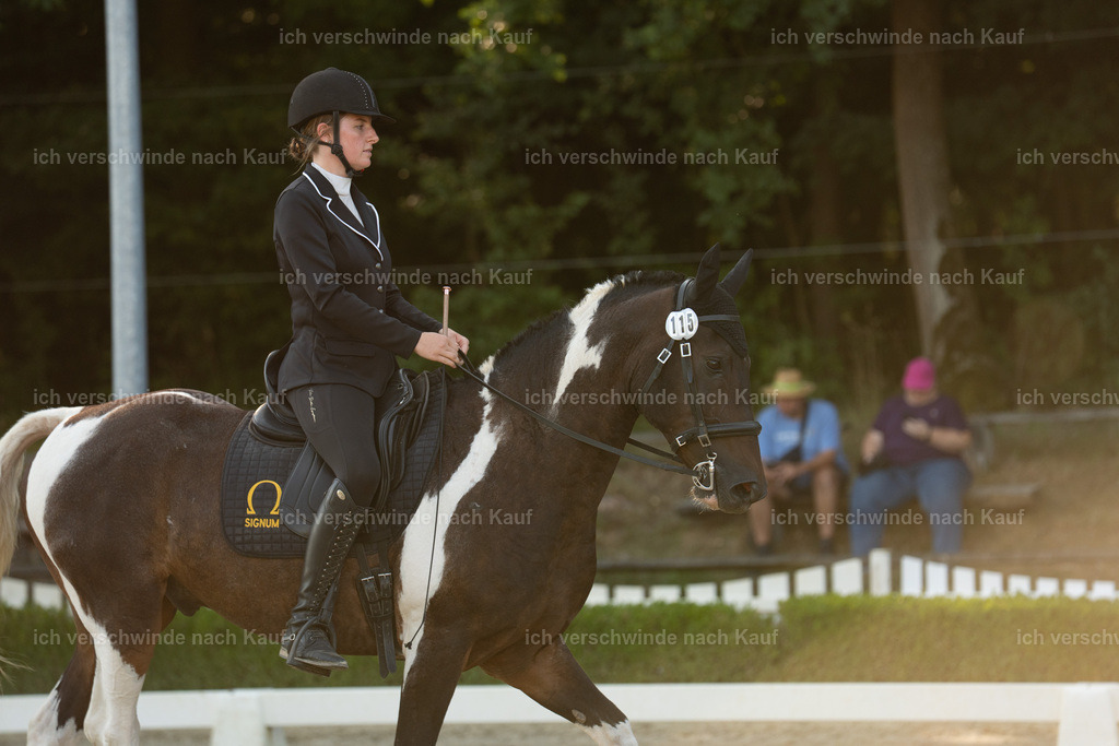 WA_DR_115_SinaFilmArt_IN00125 | working equitationturnier fotograf videograf stoibphotography marixx film working equitation deutschland reitsport turnierfotografie eventfotografie equestrian events