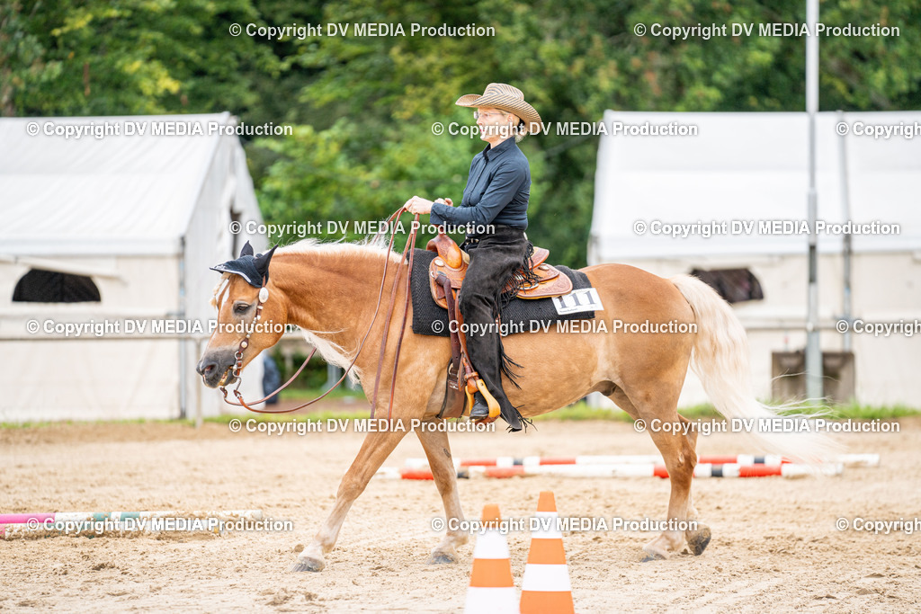 LM Heiligenwald Tag 3-488 | dv-media-shop - Realisiert mit Pictrs.com