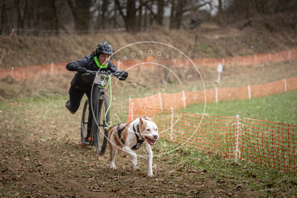 Pfotenfotografie_DV3A6794 | Hundefotografie, Tierfotograf, Pfotenfotografie, Fotoshooting Hund, Hunde Portrait, Hundesport, Hundeportraits, Heideshooting, Hunde, Sportfotograf, Hundefotograf, Turnierhundsport, THS,  - Realisiert mit Pictrs.com
