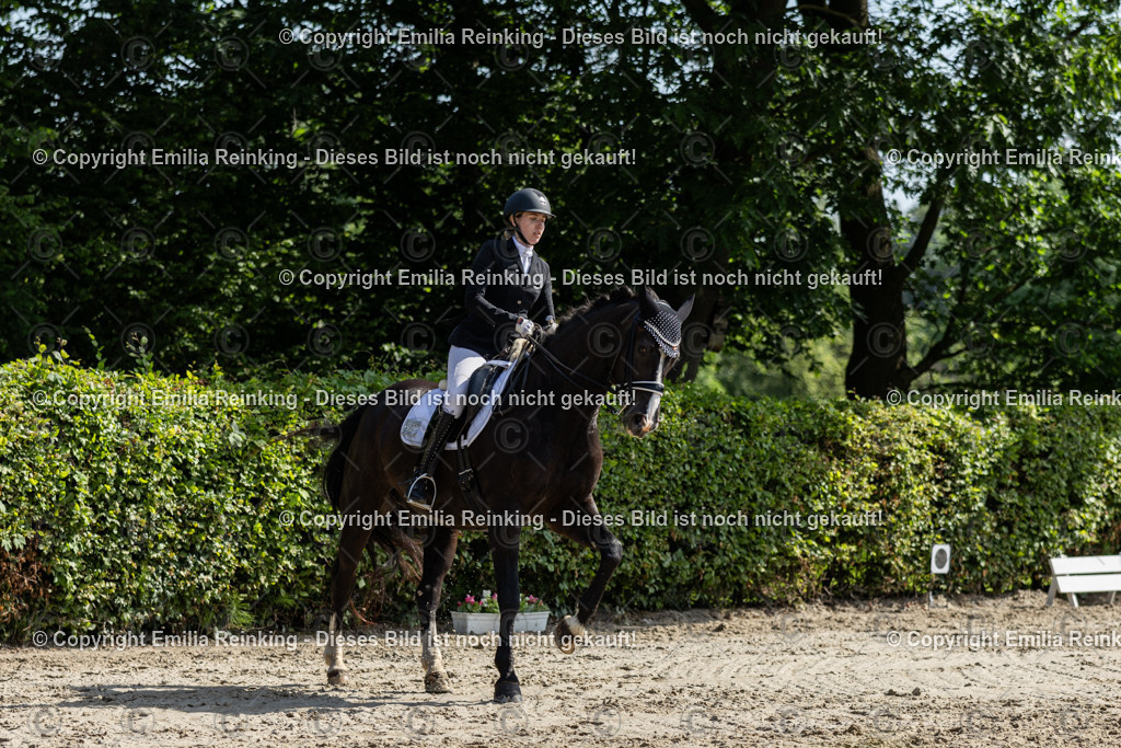 CL5A7337 | Emilia Reinking Fotografie - Realisiert mit Pictrs.com