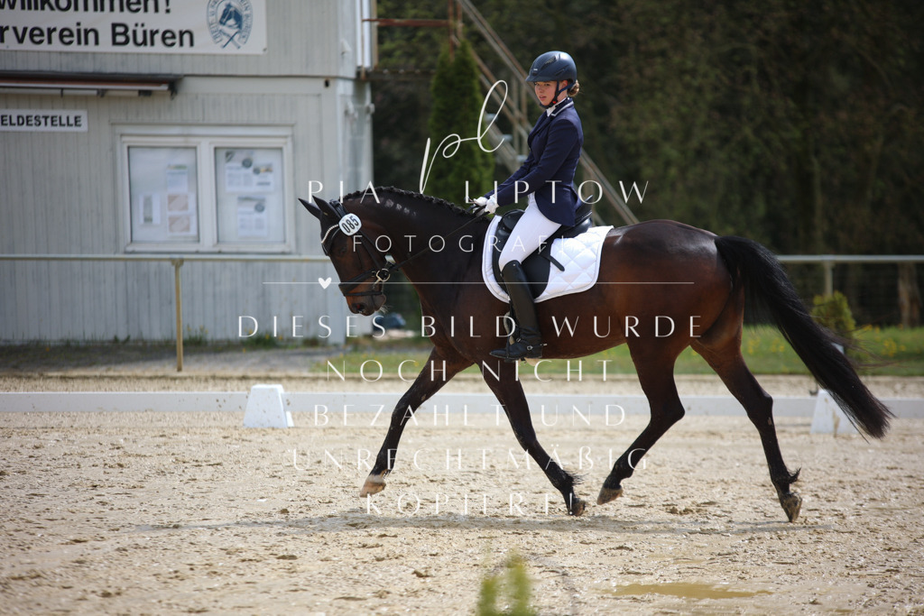 IMGT2643 | pl-fotografie