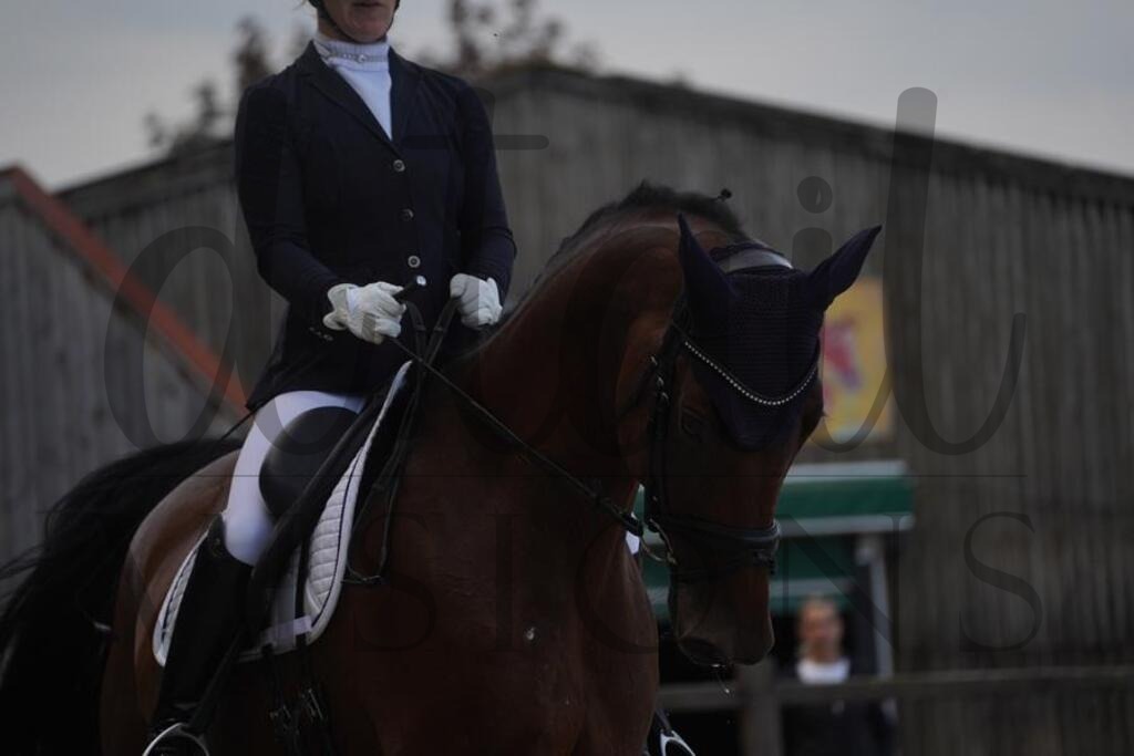 tbhsamstag (51) | d.tail Visions - Shop - Realisiert mit Pictrs.com