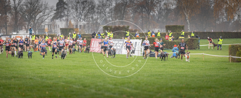 CaniXpix_DV3A8684 | Hundefotografie, Tierfotograf, Pfotenfotografie, Fotoshooting Hund, Hunde Portrait, Hundesport, Hundeportraits, Heideshooting, Hunde, Sportfotograf, Hundefotograf, Turnierhundsport, THS,  - Realisiert mit Pictrs.com