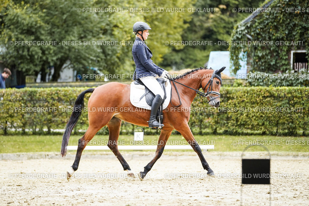 DSC01510 | Pferdegrafie