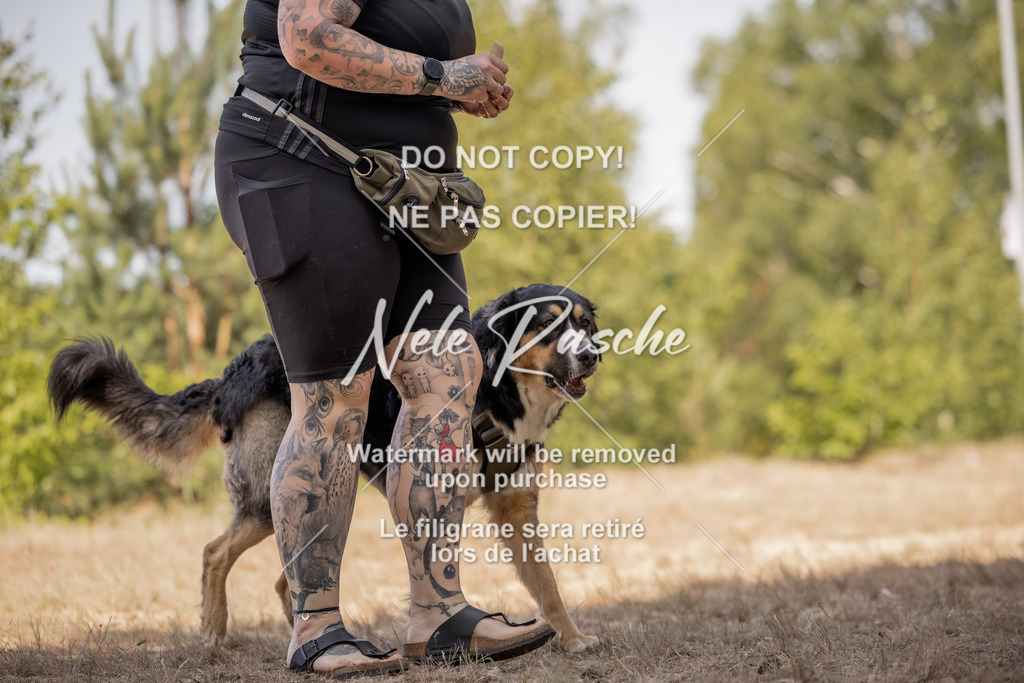 nelerasche_soDD2_240 | nelerasche