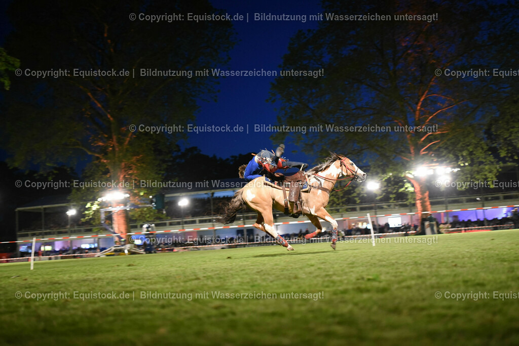 20230526_Pferdenacht_1340 | equistock