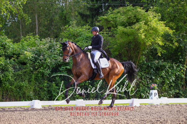 DKP41762 | Turnierfotos kaufen im Webshop von Daniel Kuhl Photography – entdecke professionelle Reitsportfotos aus Turnieren & Events. Hochwertige Turnierbilder online bestellen & sichern. Jetzt Fotos von Reitsportturnieren kaufen!