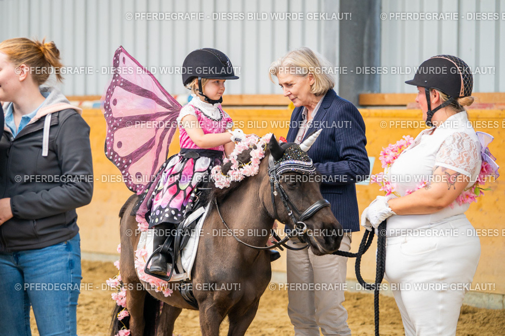 DSC00278 | Pferdegrafie