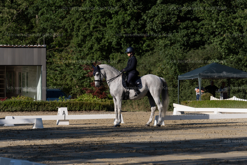 WM_DR_143_sinafilmart_IN04554 | working equitationturnier fotograf videograf stoibphotography marixx film working equitation deutschland reitsport turnierfotografie eventfotografie equestrian events