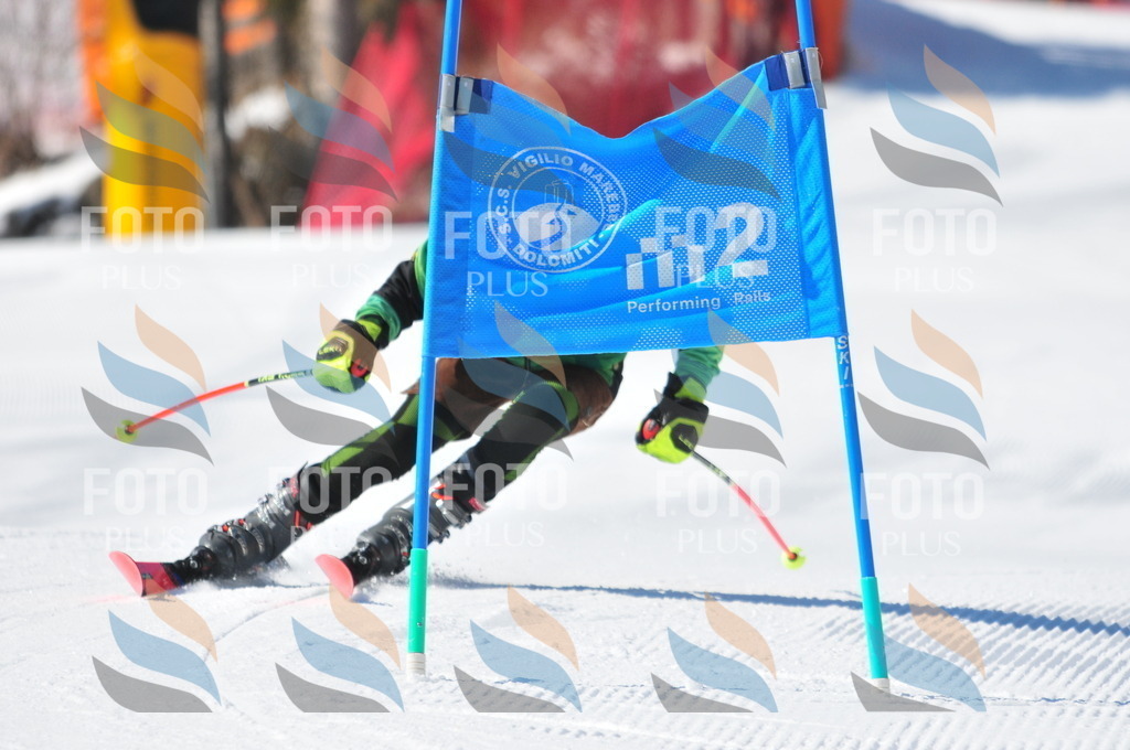 C3174 | holidayphoto