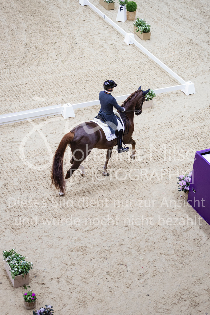 240417_Riyadh_Dressage-108 | Deine schönsten Turniermomente als professionelle Fotos! Entdecke hochwertige Pferdesport-Fotografie im Online-Shop. Jetzt Fotos finden & bestellen!