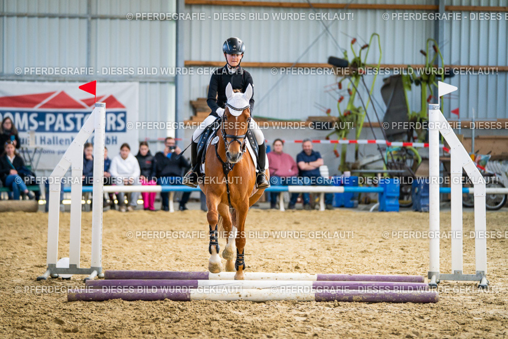 DSC01863 | Pferdegrafie