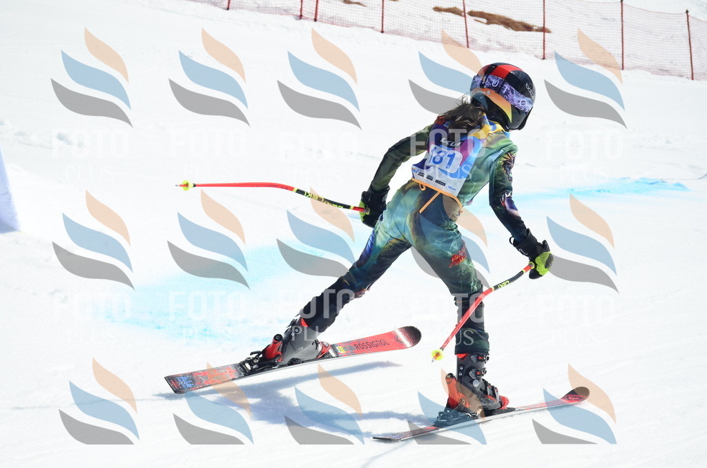 _ELE1224 | holidayphoto