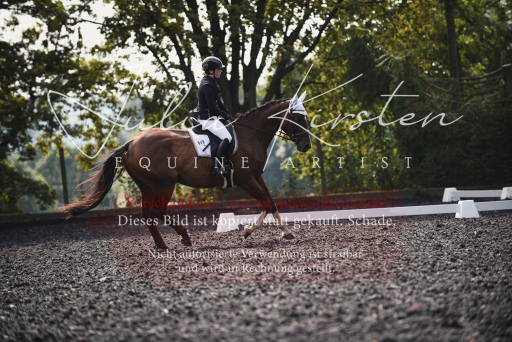 DSC_3563 | Pferde- und Turnierfotografie in Westsachsen. Pferdeportraits, Auftragszeichnungen und intuitive Kunst.