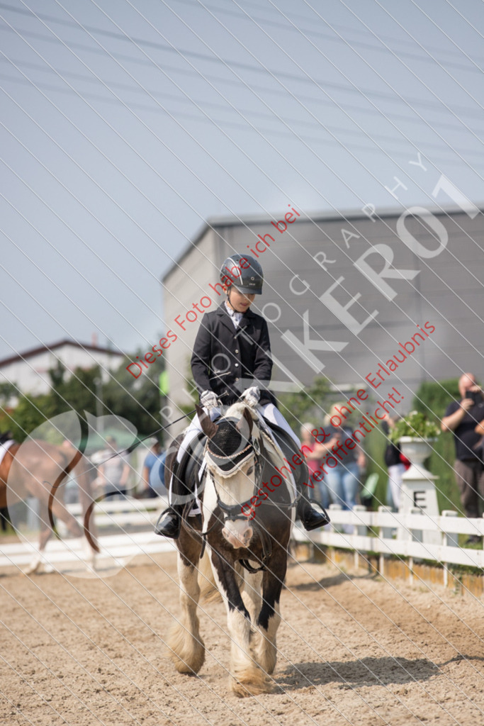 IMG_3302 | Sport-, Event- und Tierfotos in Profiqualität. Einfach auswählen, bestellen und herunterladen. Dein Moment – perfekt festgehalten.