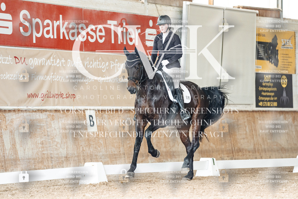 CK902091 | Turnierfotografie Pferdefotografie Trier Rheinland-Pfalz Pferdesport Reitsport Tierfotografie Sportfotografie Pferdevideo Pferdevideografie Equestrianvideography equestrianphotography  - Realisiert mit Pictrs.com