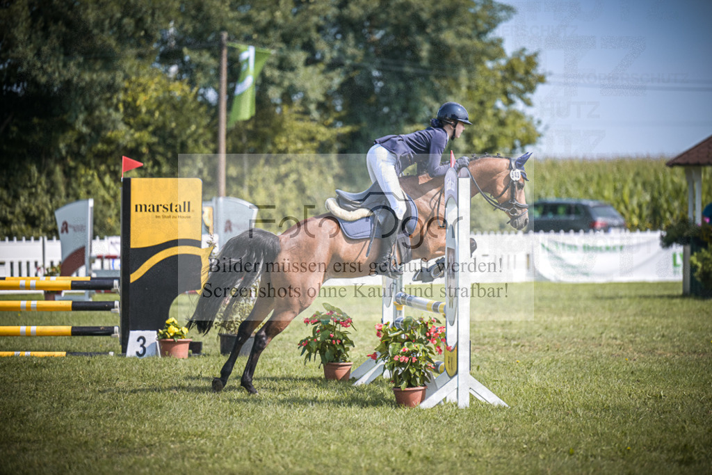 DOS_2570 | Entdecke hochwertige Reitturnierfotos von Foto Oger. Professionell, emotional und authentisch – jetzt Lieblingsmomente im Shop bestellen.Deutschlandweite Turnierfotografie. - Realisiert mit Pictrs.com