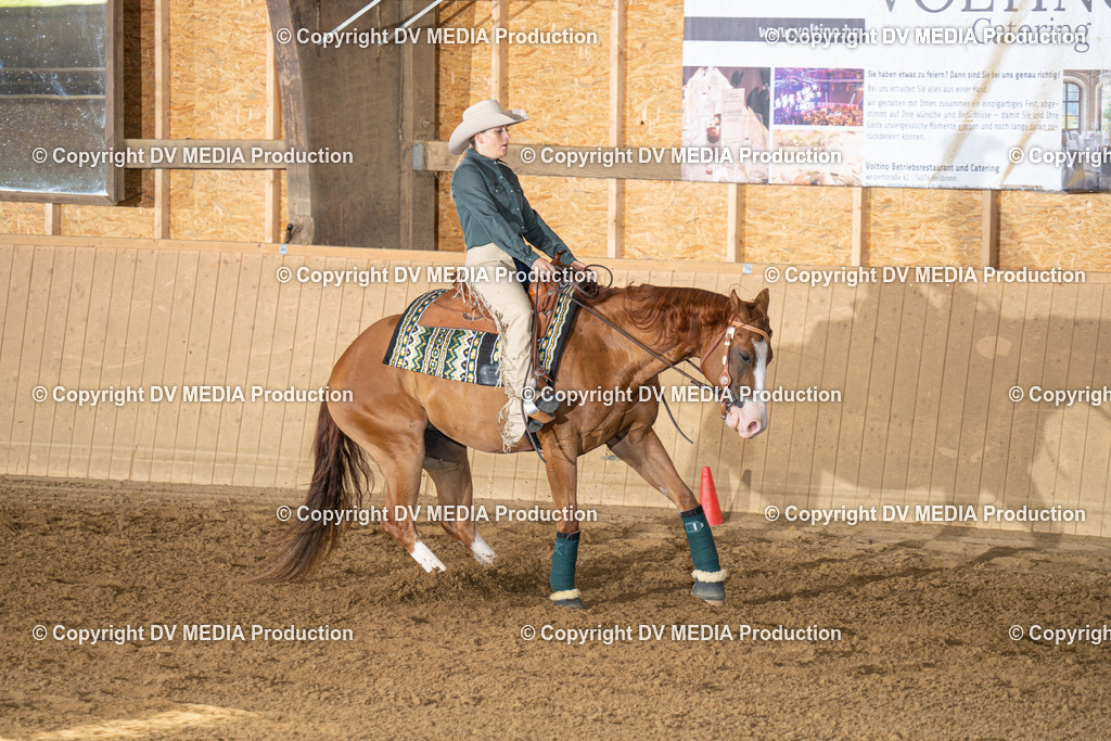 DSC00079 | dv-media-shop - Realisiert mit Pictrs.com