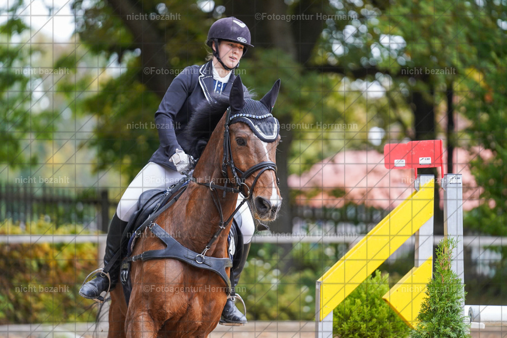 20221009-FAH08914 | Diessen am Ammersee, 2022, Dressur- und Springturnier, Reitsportbilder, Turnierfotografen Bayern, Pferdefotografen, Fotoagentur Herrmann, Turnierbilder