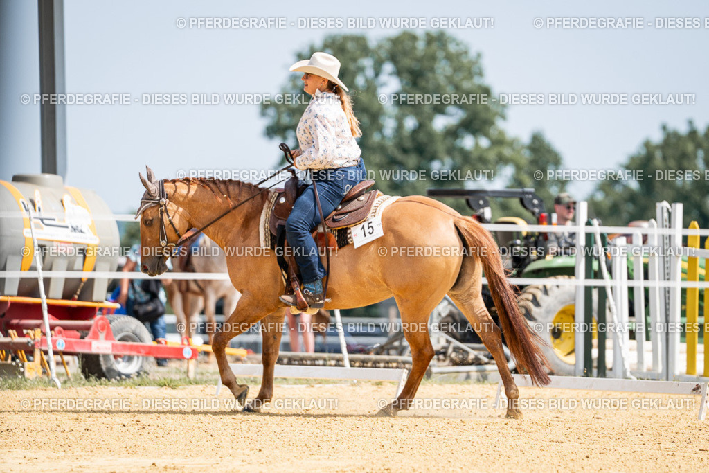 DSC09867 | Pferdegrafie