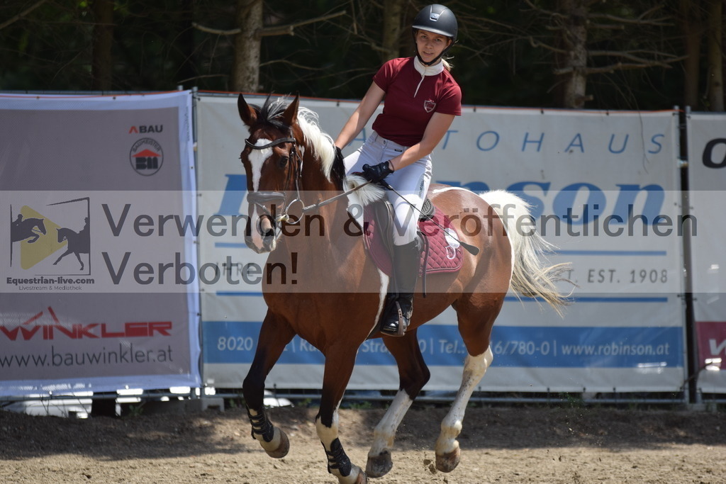 DSC_0023 | equestrian-live-com