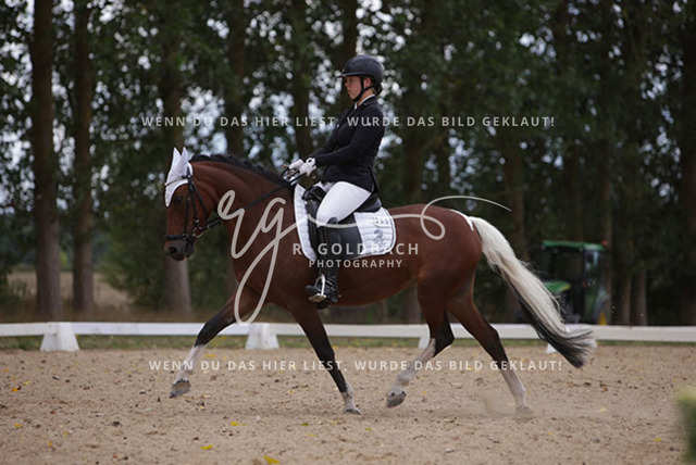 1J2A0888Charlotte Fehr_ Ikon 16_ Kn061_ Wöpkendorf_ Annalena Beier_ Quinn M_ Kn095 | Foto- und Videografie für alles rund ums Pferd. Hochwertige Bilder und Videos vom Spring- und Dressurreiten, Voltigieren & mehr. Jetzt aktuelle Veranstaltungen und Preise im Shop ansehen. - Realisiert mit Pictrs.com