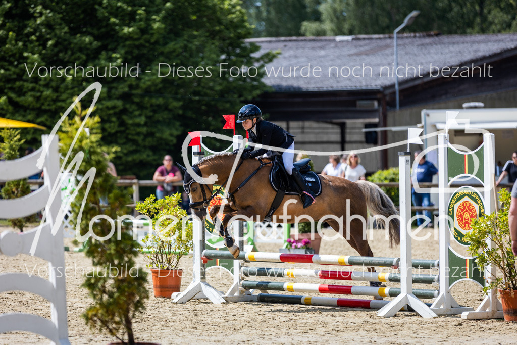 Donop24-SprRW-014 | MomenTaufnahmen Pferdesportfotos