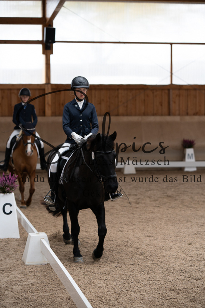 A7V02615 | Pferdefotograf