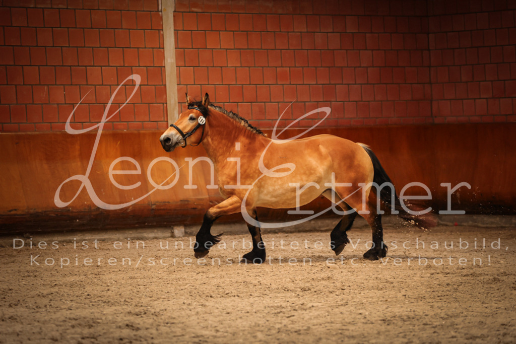 SaFL00107 | Leoni Ertmer Photography - Realisiert mit Pictrs.com