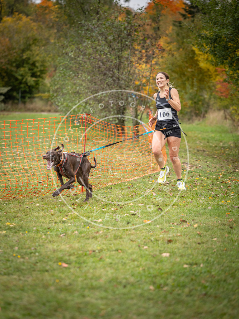 Pfotenfotografie_DV3A2388 | Hundefotografie, Tierfotograf, Pfotenfotografie, Fotoshooting Hund, Hunde Portrait, Hundesport, Hundeportraits, Heideshooting, Hunde, Sportfotograf, Hundefotograf, Turnierhundsport, THS,  - Realisiert mit Pictrs.com