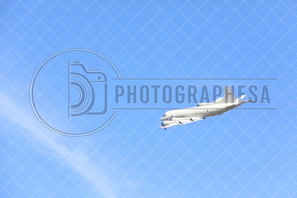 IMG_8805 | photographesa-joergens - Realisiert mit Pictrs.com