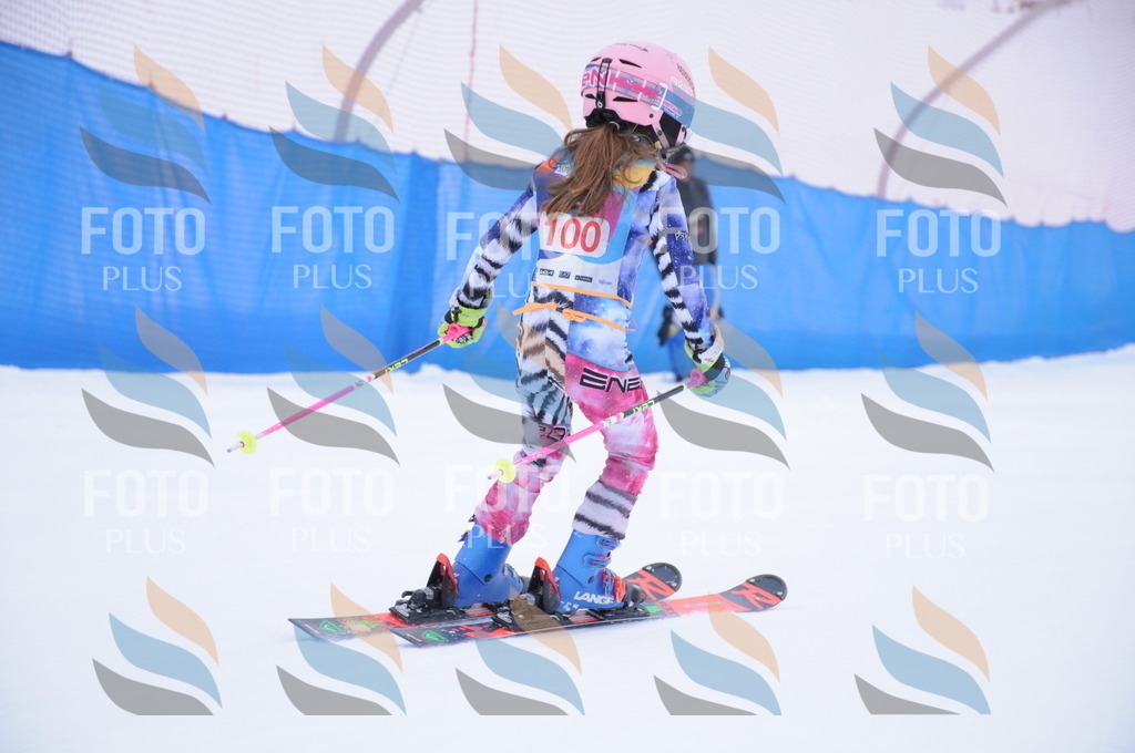 DSC_8334 | holidayphoto