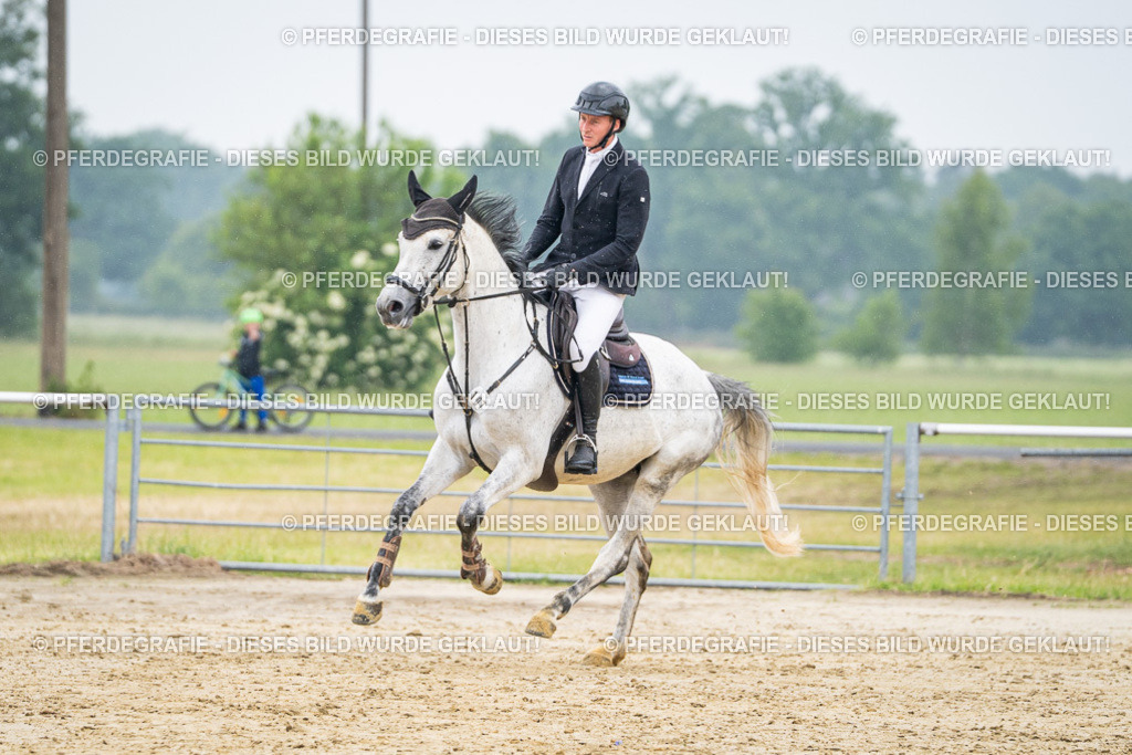 DSC00896 | Pferdegrafie