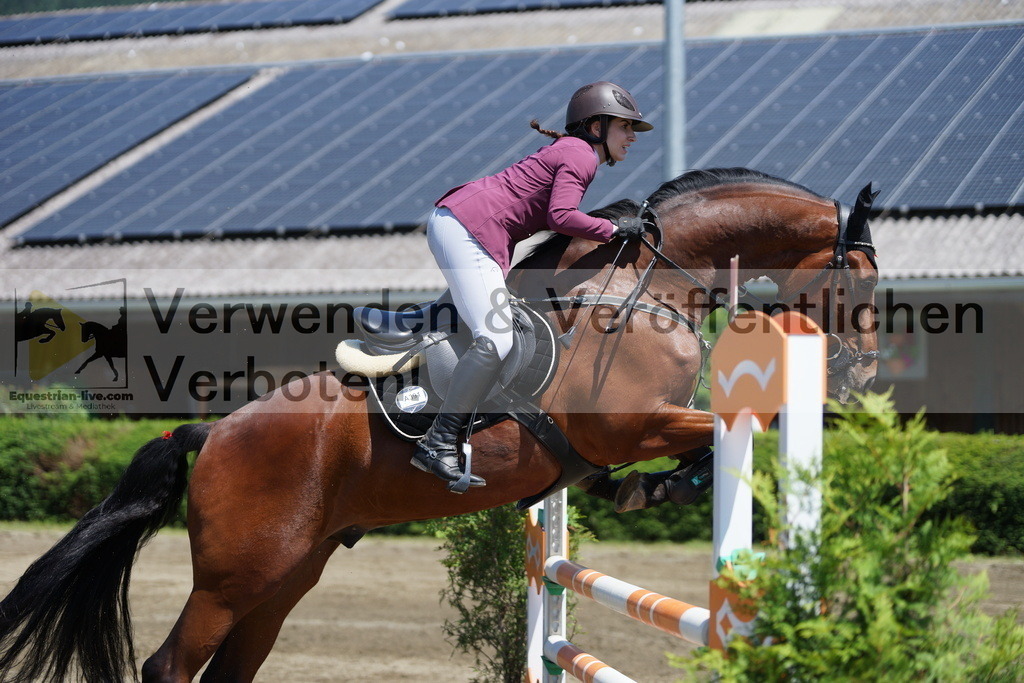 DSC06085 | equestrian-live-com