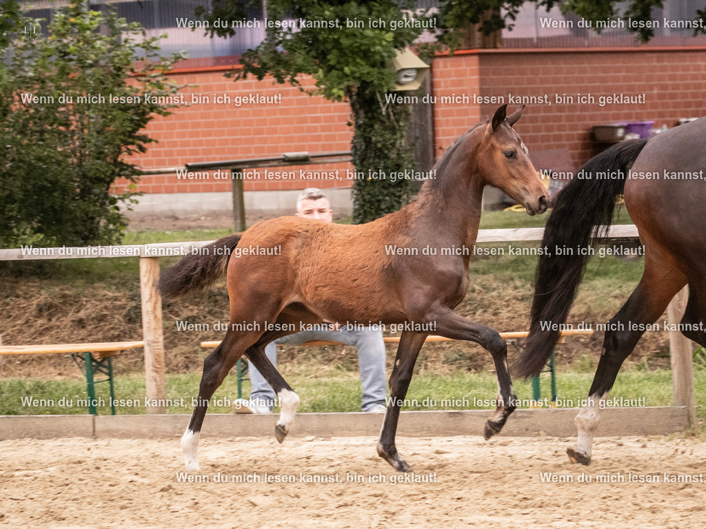 A10I7118 | photographylinaismer - Realisiert mit Pictrs.com