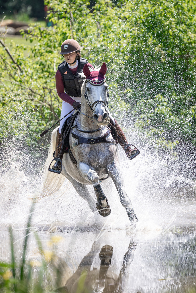 20260523-_3LI8721 | Tierfotografie Pferde, Hunde, Katzen, Haustiere.
Turnierfotografie Reitturniere, Reiten, Springreiten, Dressur in Hanau, dem Main-Kinzig-Kreis und dem Rhein-Main- Gebiet um Frankfurt