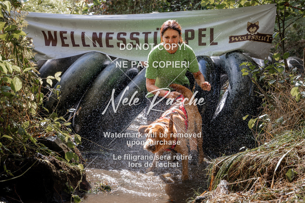 nelerasche_Hunsrück2026_Sa1400-1500_36 | nelerasche