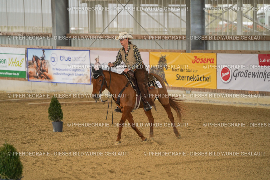 DSC03914 | Pferdegrafie