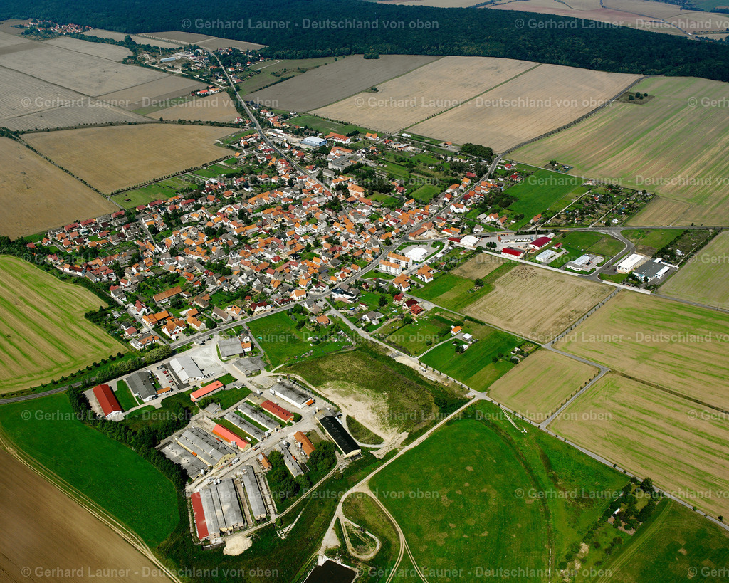 2589361 | Hüpstedt, Dünwald