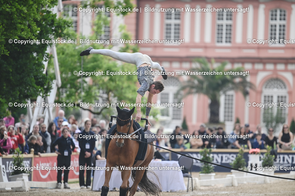 20240519_Voltige_0580 | Foto: Thomas Hartig