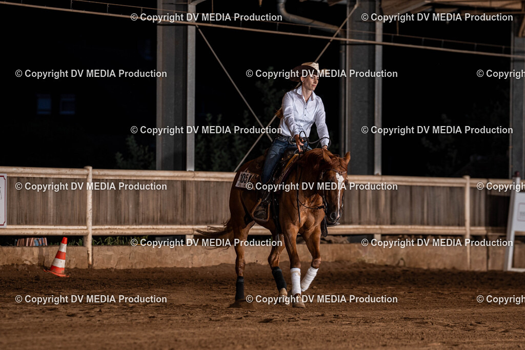 Erbach Tag 1-1315 | dv-media-shop - Realisiert mit Pictrs.com