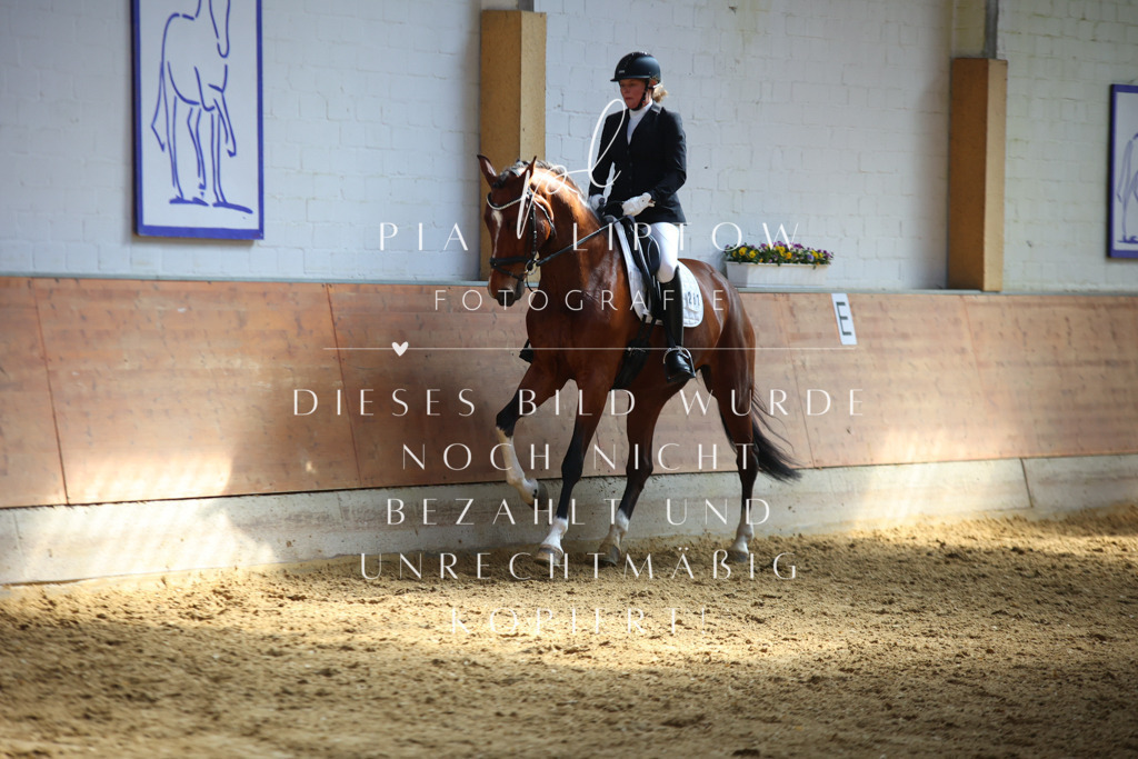 IMGT7022 | pl-fotografie