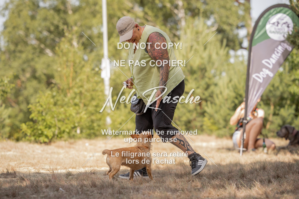 nelerasche_soDD2_61 | nelerasche