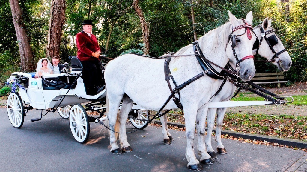 top-top.de Hochzeiten111 | Am Samstag, den 04.10.2014 fuhr das Brautpaar Tamara Modrow und Phillip Boie in der NRZ Hochzeitskutsche von der Evangelische Kirche in Drevenack zum Landhotel Voshövel.
Foto: Erwin Pottgiesser WAZ FotoPool